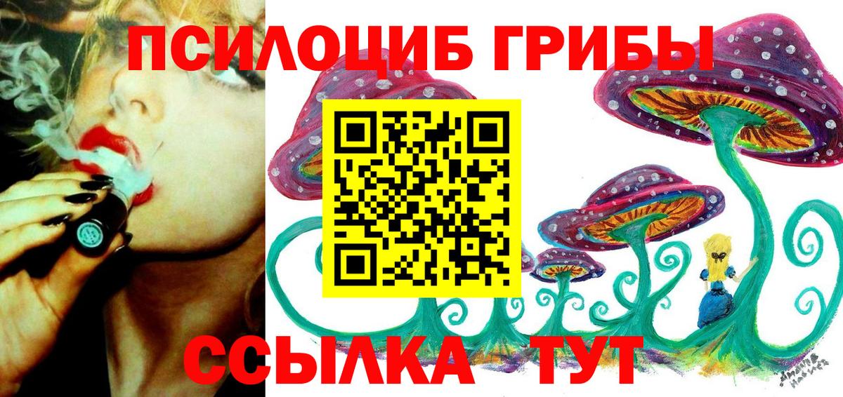 Псилоцибиновые грибы Psilocybine cubensis Шатура
